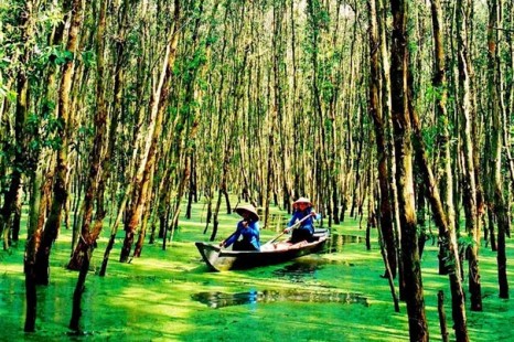 Tour Du Lịch Đồng Tháp Mùa Nước Nổi 2 Ngày 1 Đêm